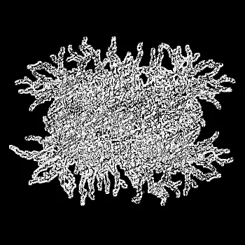 logo Vanta Black Scat